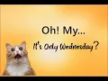 Oh My It s Only Wednesday - meme compilation