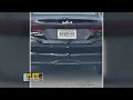 11 Investigates Pennsylvania has a problem with license plates and it could cost drivers