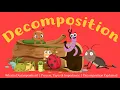 What is Decomposition Process Types Importance Decomposition Explained Learning Junction