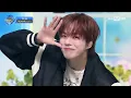 Download Lagu Treasure Yellow - Stage Mix