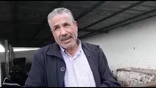                     دندنها
