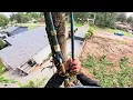 2 cedars removal in langley