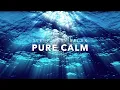 Download Lagu 20 Minute Instant CALMING MUSIC, Relaxing Music, Calm Music, Relax (Headache Relief) Sleep Ezy