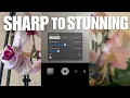 2 Mobile Apps Every Creative Photographer Should Try