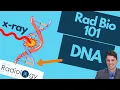 Lagu Single vs Double strand DNA Breaks (Rad Bio 101 for Technologists)