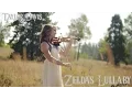 Download Lagu Zelda's Lullaby (Violin Cover) Taylor Davis