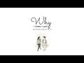 Download Lagu Janet Suhh - Why (Our Beloved Summer Ost Part 6) // Lirik Sub Indo