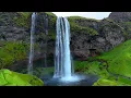 Calm Your Nervous System 🌿 Relaxing Music to Ease Anxiety & Quiet the Mind #2
