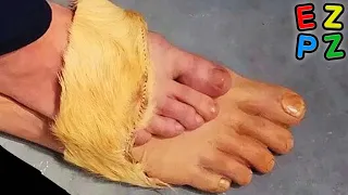why why why whY WHY