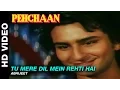 Download Lagu Tu Mere Dil Mein Rehti Hai - Pehchaan | Abhijeet | Saif Ali Khan \u0026 Madhoo
