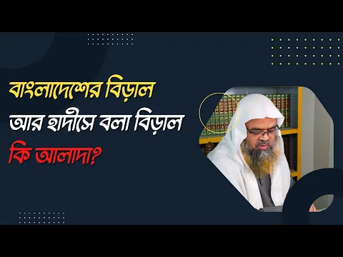 প্রশ্ন : বাংলাদেশের বিড়াল আর হাদীসে বলা বিড়াল কি আলাদা?