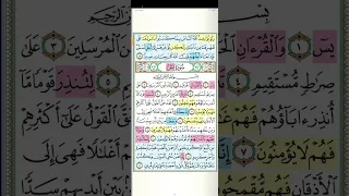 تثبيت وتربيط سورة يس من ايه١ حتى ايه ٤٠ 