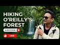 Hiking in Oreilly s Rainforest in Southeast Queensland