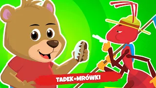 🐻🐜TADEK I MRÓWKI - Śpiewające Brzdące - Piosenki dla dzieci