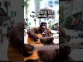 Download Lagu bigfoot sedang ngamen #bigfoot #animals #shorts #fyp
