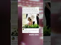 Download Lagu When Camilla Cabello and Sabrina Carpenter stood side by side at the 2021 Met Gala,,