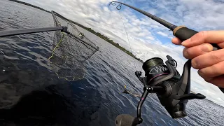 deadbaiting for big pike wychwood agitator ftb big bait special float fishing setup