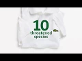 Video di Lacoste x Save Our Species