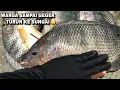 Lagu Warga pada heboh Saat mancing dapat ikan sebesar ini