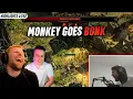 Download Lagu The Monkey Might Be the Most Hated Boss in PoE2