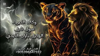 اغنيه وكاله الكبرياء الوكيل باران الكردي الرقم الصعب اغاني تحديات ومطانيخ حماسيه الفنان الخال اسكندر 