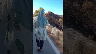 انا الأفراح والارباح والفايض ورأس المال فلسطين سوريا دبي مصر المغرب الجزائر العراق تركيا 