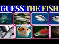 Guess the fish How many fishes will you guess Fish quiz challenge