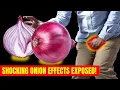 Download Lagu Even a Single ONION Can Start an IRREVERSIBLE Reaction in Your Body!