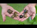 Turtle Hatching Season Is Here Garden State Tortoise New Baby Turtle Pond