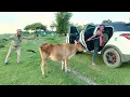 Download Lagu New Trending Comedy Video 2024 😂 Amazing Funny Video Episode 182 By Our Fun