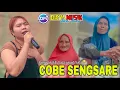 Download Lagu COBE SENGSARE - LAGU SEDIH MENYAYAT HATI NOFIE ALISHBA 😭 DISYA MUSIK TERBARU