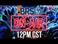 Lagu Live Reef Tank Q\u0026A with BRStv – Ask Brian \u0026 Jason Anything!