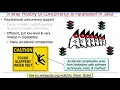 Background on Concurrency Parallelism in Java Part 2