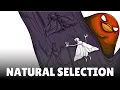 Darwin s Theory of Evolution Natural Selection