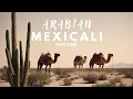 Lagu Arabian Mexicali music track