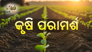କୃଷି ପରାମର୍ଶ | 27 October 2026 | Expert Agricultural Guidance & Crop Care | DD Odia