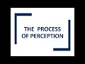 The Process of Perception