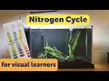Cycling a New Aquarium Nitrogen Cycle Demonstration