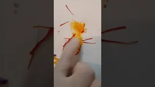 The Amazing Color Of Saffron 