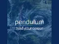 pendulum hold your colour