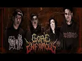 Download Lagu Gore Infamous live in Bandung Death Fest 2025 MP3
