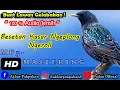 BESETAN KASAR PALING DITAKUTI LAWAN - Besetan Paling Kasar Dan Jernih Ngerol Ngeplong Untuk Isian