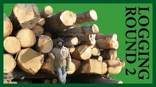 Acorn to Arabella – Journey of a Wooden Boat – Episode 28: Logging Round 2