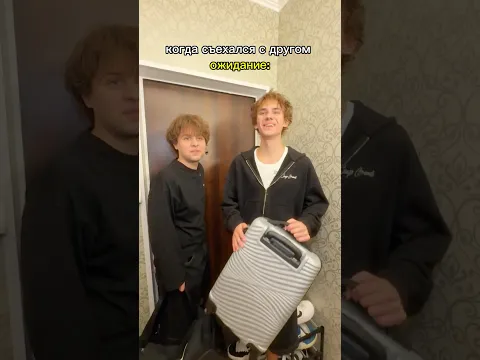 жизнь вместе с другом