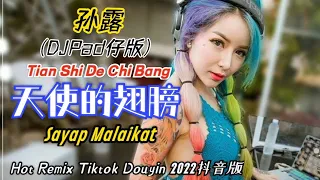  djpad tian shi de chi bang sayap malaikat hot remix tiktok douyin 2022 translated