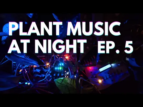 Plant Music at Night: Deep Bio-Electronic Ambient (EuroRack Modular)