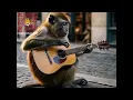 Download Lagu monyet si pengamen jalanan #monkey #funnyanimals #monyet #ai #cuteanimals #viralvideo #fyp #pengamen