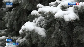 В Омской области опять сменится погода