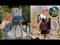 Tangled Live Action Set Leaks First Look at Maximus and Rapunzel s Tower