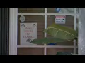 Family arrested in Bakersfield daycare abuse investigations